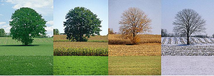 眼花缭乱 2021年电子游戏发售数量或达到新里程碑